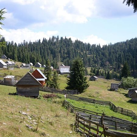 Pensiunea Aurora Albac Exteriér fotografie