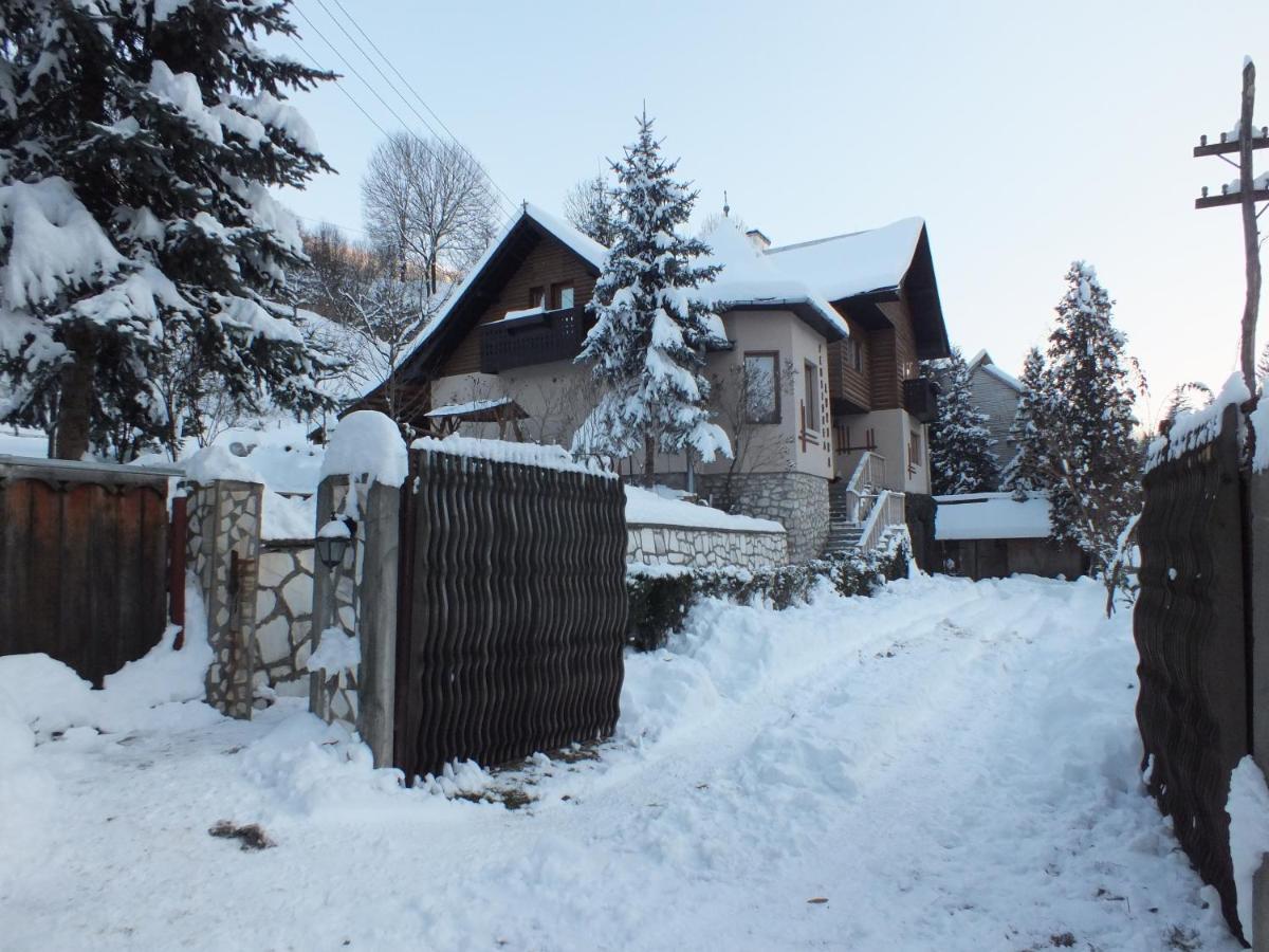 Pensiunea Aurora Albac Exteriér fotografie