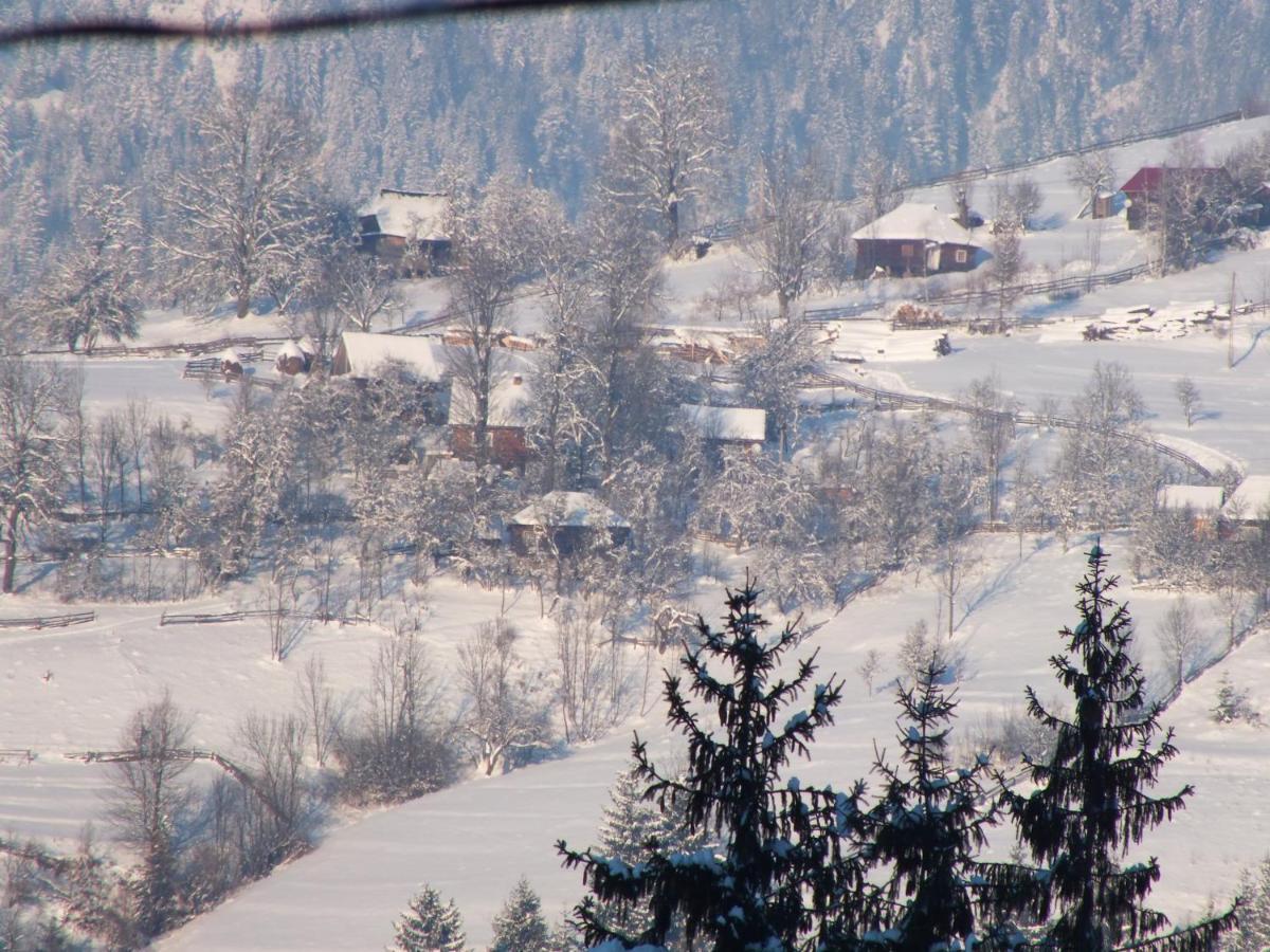 Pensiunea Aurora Albac Exteriér fotografie