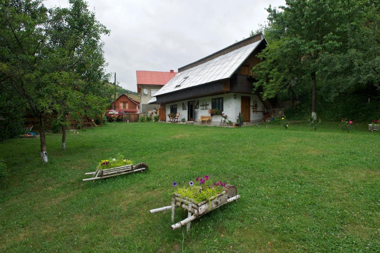 Pensiunea Aurora Albac Exteriér fotografie