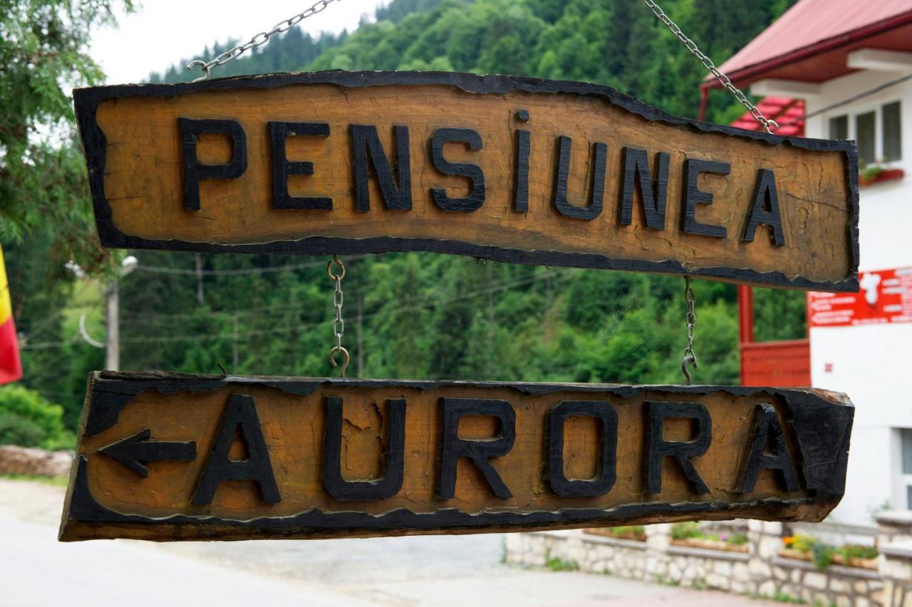 Pensiunea Aurora Albac Exteriér fotografie