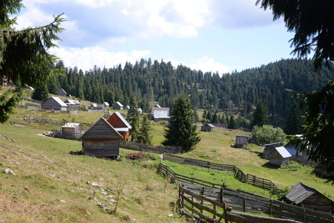 Pensiunea Aurora Albac Exteriér fotografie
